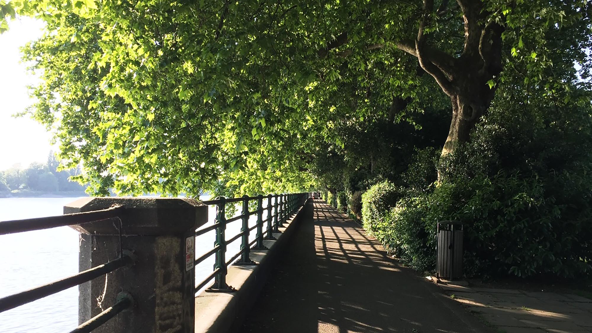 Bishops Park